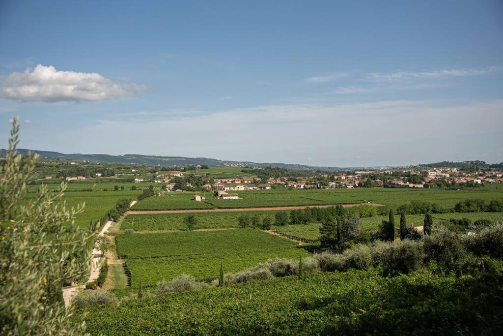 Monolocale Moderno Valpolicella Verona - Vayu San Pietro in Cariano Exterior photo